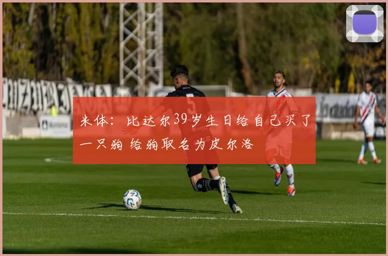 米体：比达尔39岁生日给自己买了一只狗 给狗取名为皮尔洛